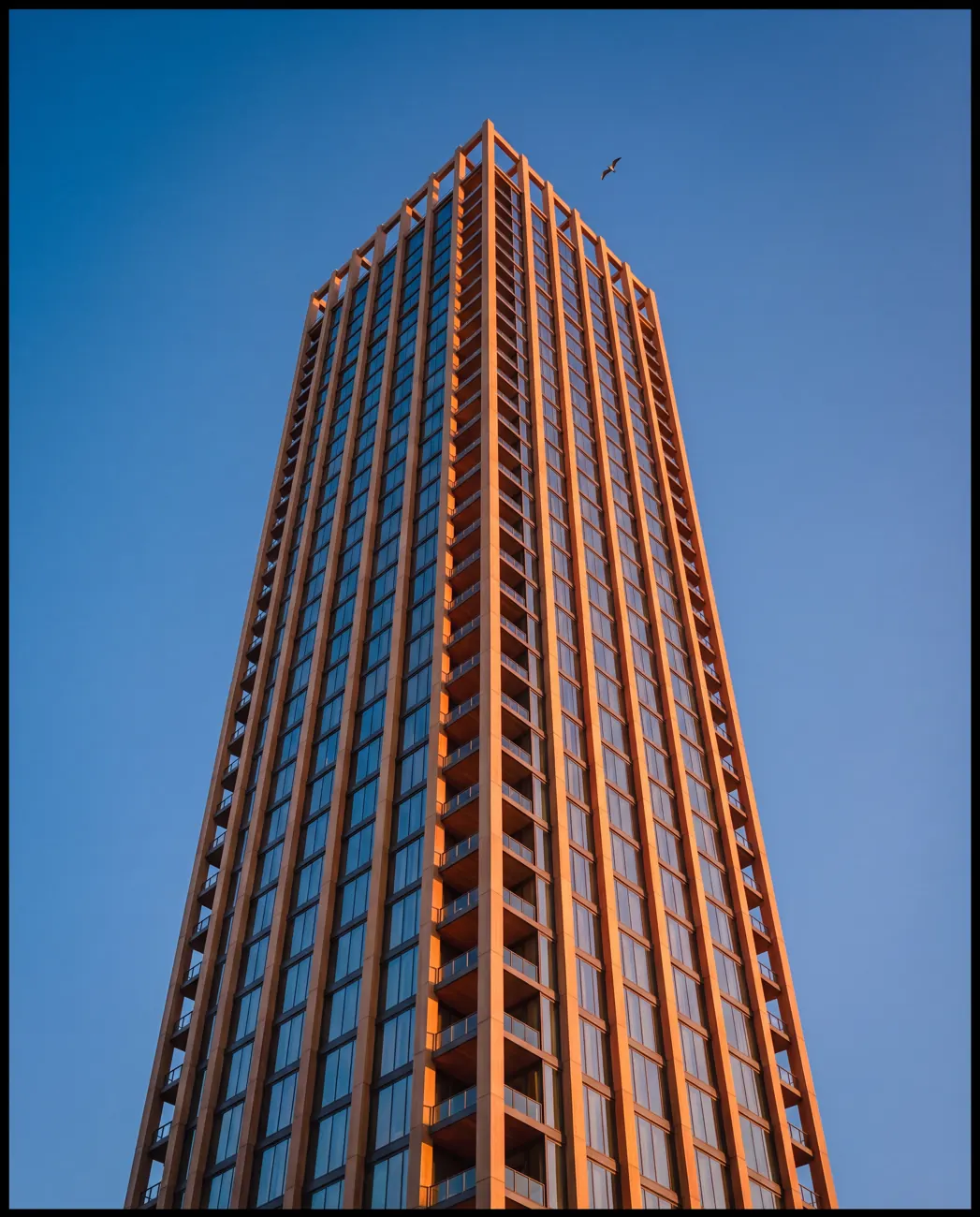 Lumen House — Looking up from the podium