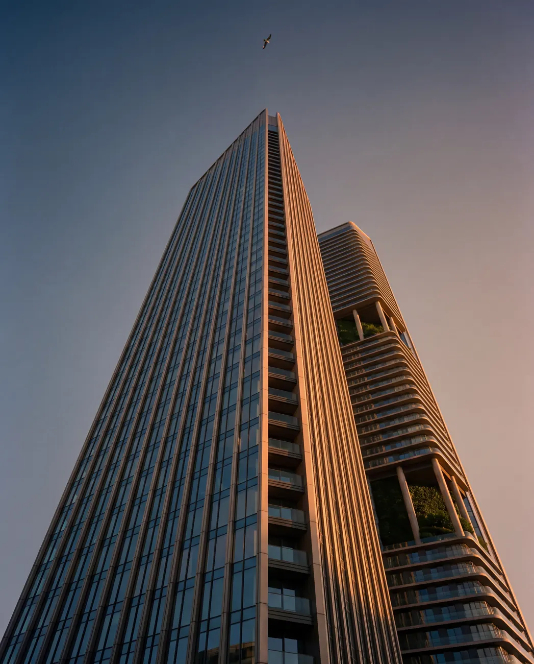 Auburn Wharf — Looking up from the podium