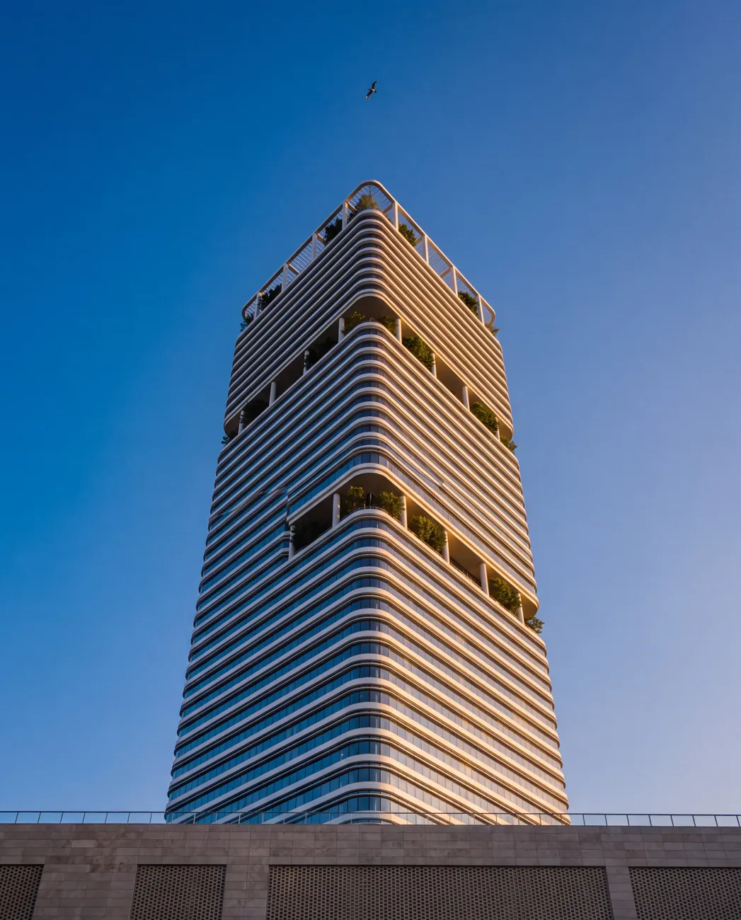 Verity Wharf — Looking up from the podium