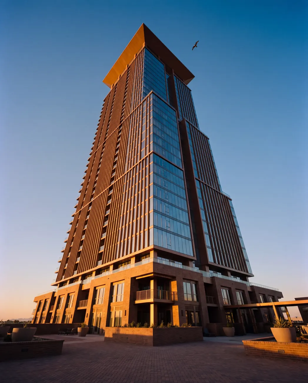 Palisade One — Looking up from the podium